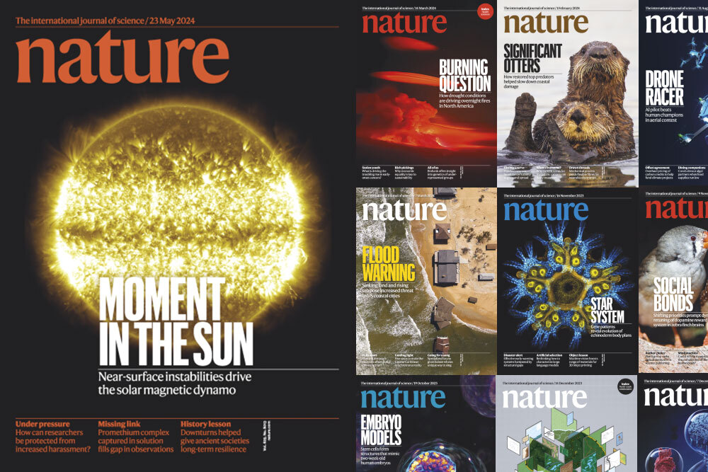 database Nature - covers for May 2024 and sample back issues