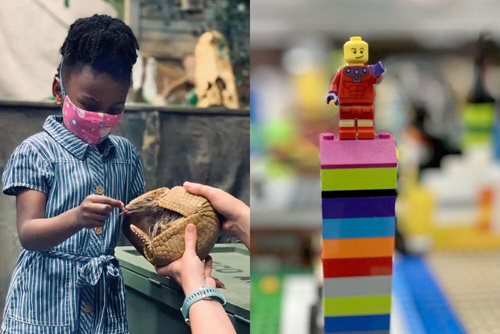 Kids STEAM events December 2024, showing a child with an armadillo, and legos