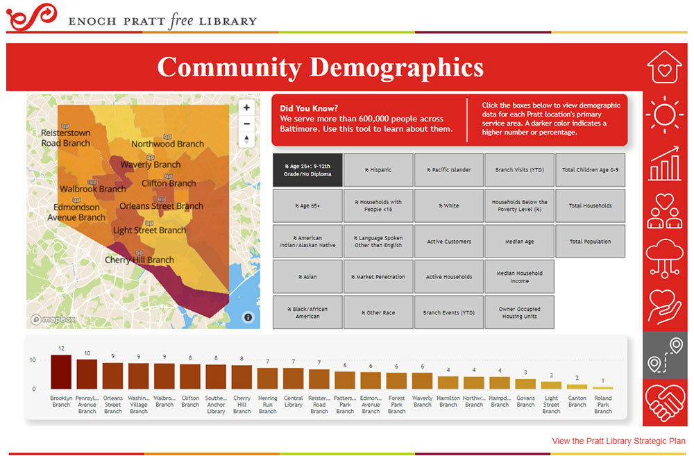 DEI dashboard - community demograhics screen snapshot